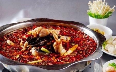 美蛙鱼头火锅底料技术培训哪里好？培训学费多少钱？